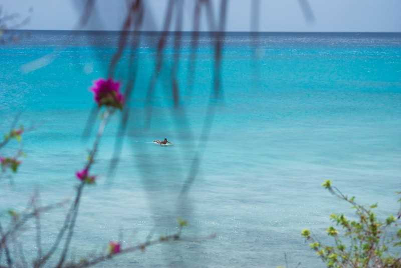 flower surf