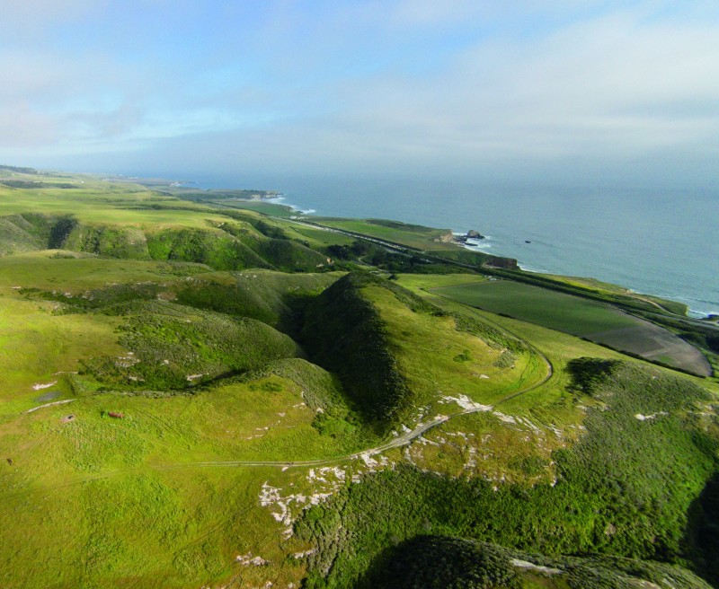 Levy_CoastDairies1