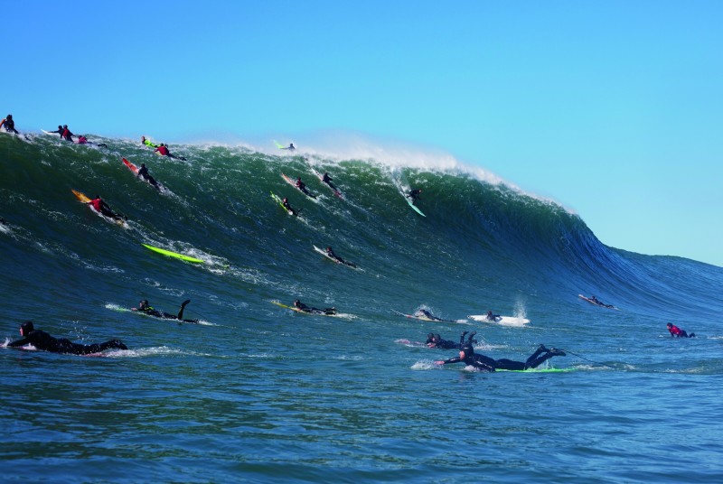 Mavericks__