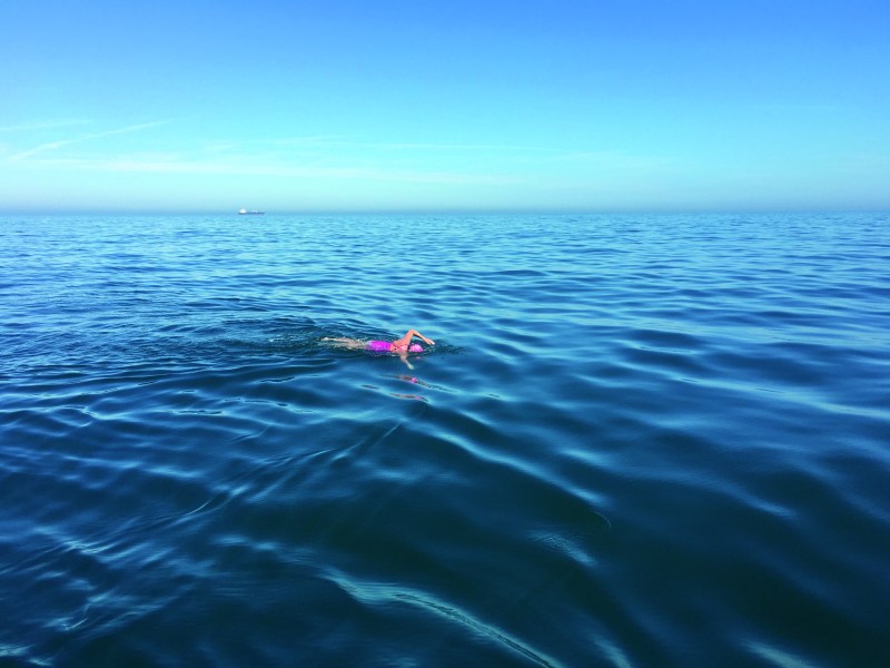 EnglishChannel_Robin_Rose