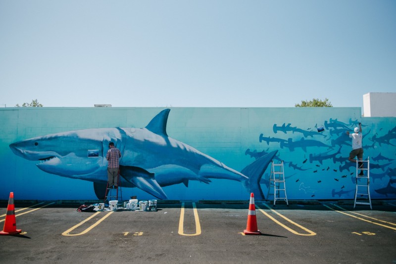 the process, he uncovered the largest industrial shark finning